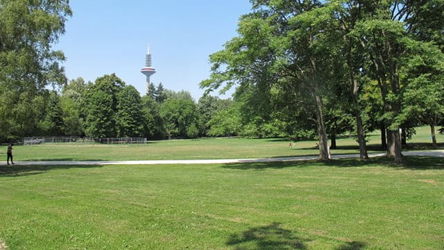 Grüneburgpark mit Blick auf Europaturm Grüneburgpark